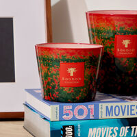 baobab collection poppies candles max 10