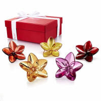 The Bloom Collection Flower Power, small