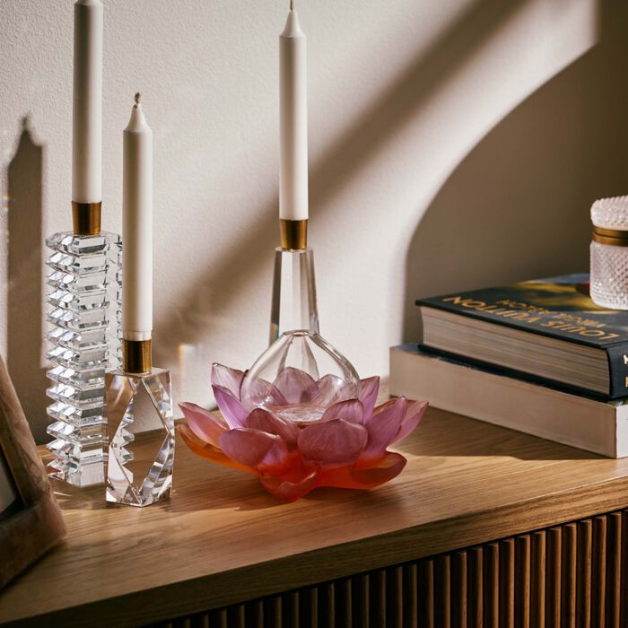 مزهرية جاردان دو لوتس سوليفور صغيرة الحجم باللون الوردي دوم مزهرية جاردان دو لوتس سوليفور صغيرة الحجم باللون الوردي