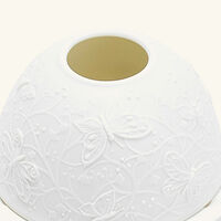 برناردو مصباح ليثوفاني باترفلايز إن فلايت