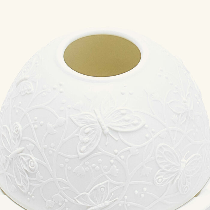 برناردو مصباح ليثوفاني باترفلايز إن فلايت