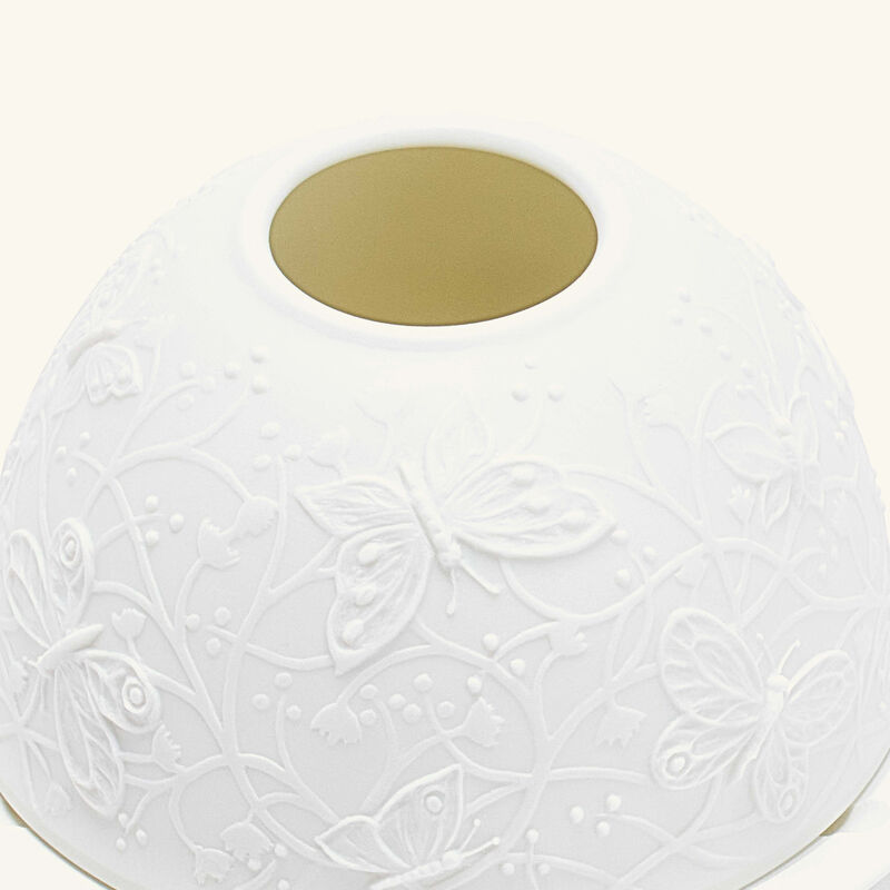 برناردو مصباح ليثوفاني باترفلايز إن فلايت