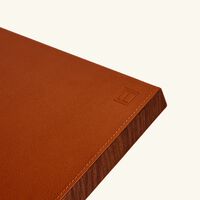 آسولين مسند الكتب كوليكتر ألتيمت باللون البني الفاتح