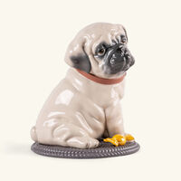 lladro puppie pug sculpture medium white