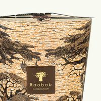 baobab collection sacred trees mankono candle max 35