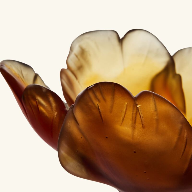 Tulip Centerpiece Yellow daum tulip centerpiece yellow