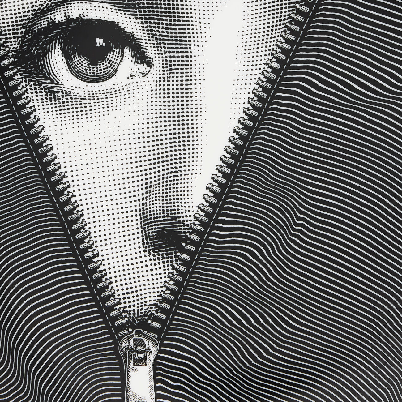 Tema e Variazioni no.401 Wall Plate fornasetti tema e variazioni no 401 wall plate
