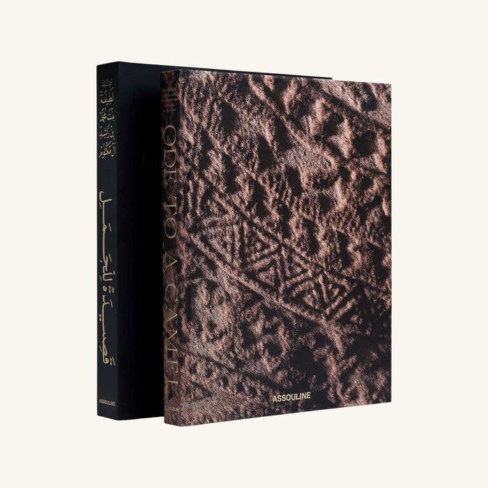 Ode To A Camel English and Arabic Book 36x28cm assouline ode to a camel english and arabic book 36x28cm