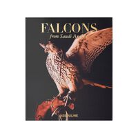 Falcons From Saudi Arabia Book, small