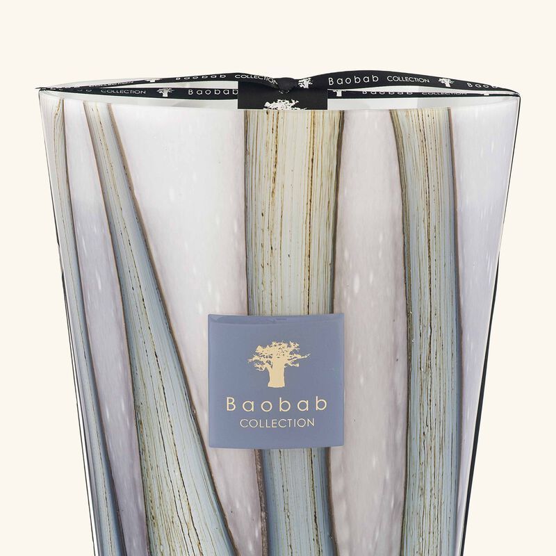 baobab collection woods broceliande candle max 35