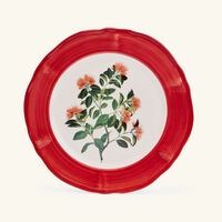 les ottomans sultan garden dinner plate round red