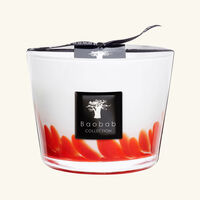 Feathers Masaai Candle Max 10 baobab collection feathers masaai candle max 10
