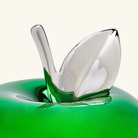 Golden Delicious Box Green bernardaud golden delicious box green