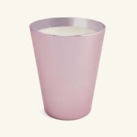 باوباب شمعة روزيوم ماكس 24