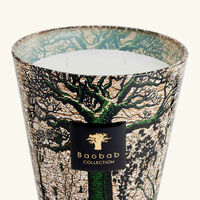 baobab collection sacred trees kani candle max 16