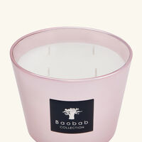 baobab collection roseum candle max 10