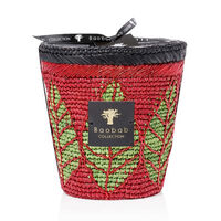 baobab collection hazo noely