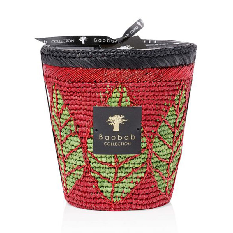 baobab collection hazo noely