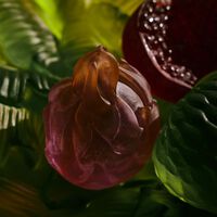 Tutti Frutti Dragon Fruit Figurine daum tutti frutti dragon fruit figurine