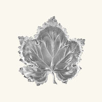 buccellati vine leaf bowl medium silver