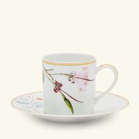 bernardaud jardin indien coffee cup   saucer green