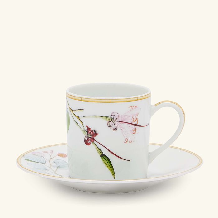 bernardaud jardin indien coffee cup   saucer green