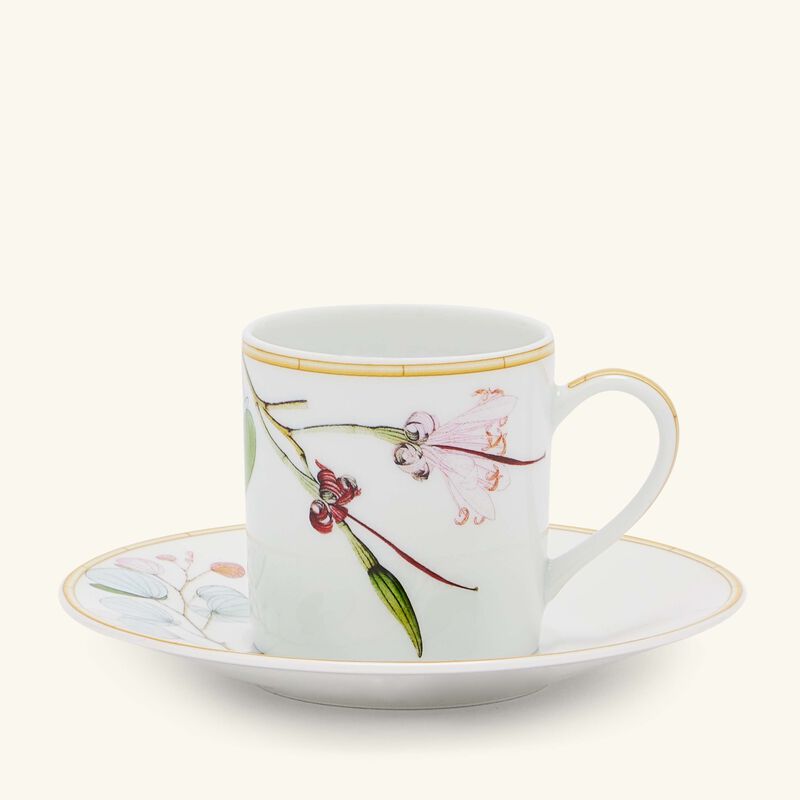 bernardaud jardin indien coffee cup   saucer green