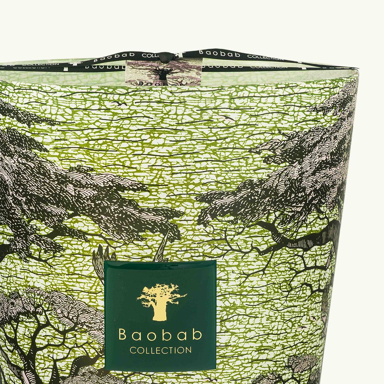 baobab collection sacred trees touba candle max 35