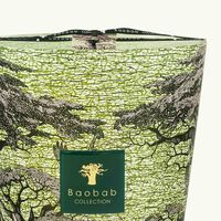 baobab collection sacred trees touba candle max 35