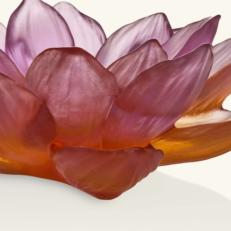 زهرة جاردان دو لوتس التزيينية باللون الوردي دوم زهرة جاردان دو لوتس التزيينية باللون الوردي