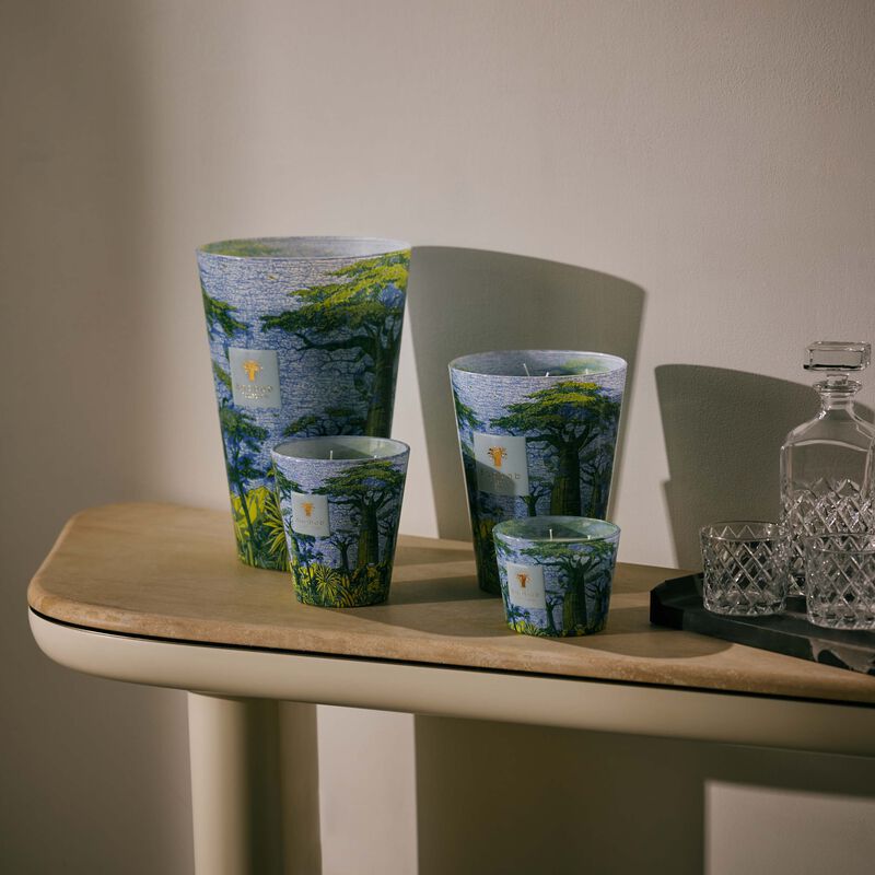 Sacred Trees Yarani Candle Max 16 baobab collection sacred trees yarani candle max 16