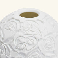 برناردو مصباح ليثوفاني روز