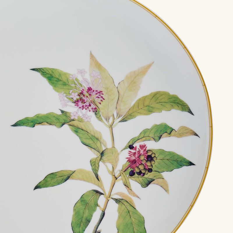 Jardin Indien Serving Platter Round Green 32cm bernardaud jardin indien serving platter round green 32cm