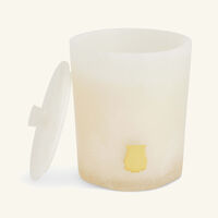 trudon ernesto candle 270g