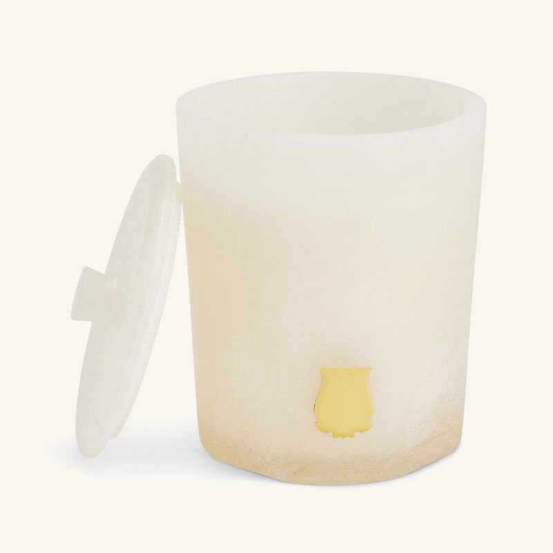 trudon ernesto candle 270g