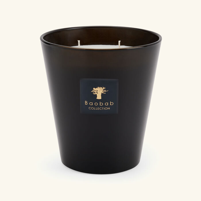 baobab collection encre de chine candle max 16