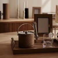 جيوبانيارا دلو الثلج إيلي صعب مونوغرام موتون