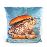 Cushion Toad, small