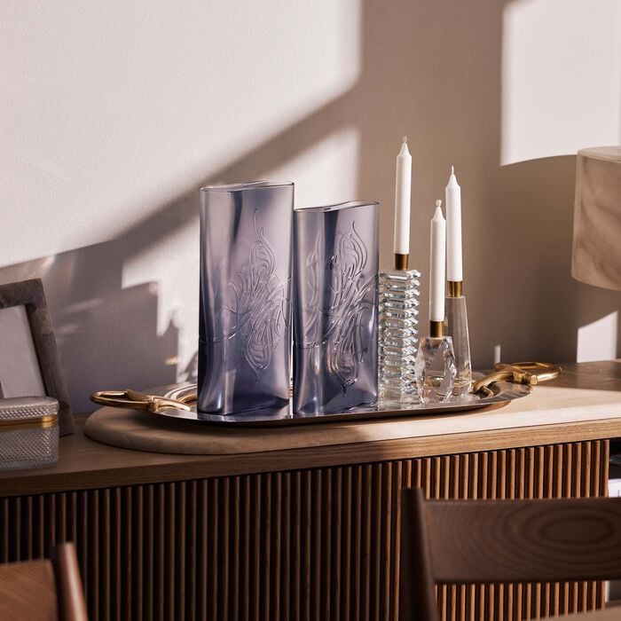 Oval Shadow Vase Tall Clear mario cioni c oval shadow vase tall clear