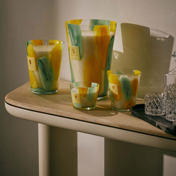 باوباب شمعة ريفييرا سانتو سوسبير ماكس 10