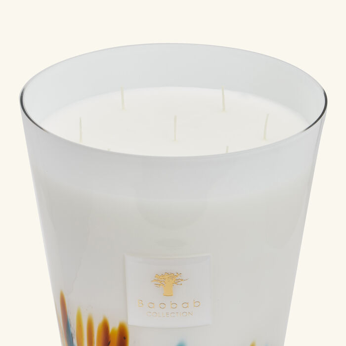 baobab collection rainforest mayumbe candle maxi max