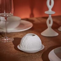 برناردو مصباح ليثوفاني واشنطن