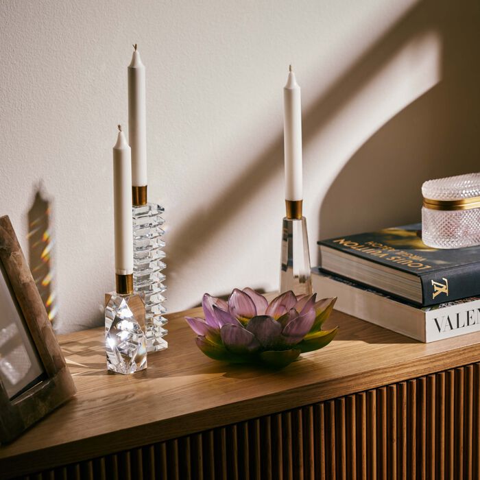 زهرة جاردان دو لوتس التزيينية باللون الأخضر دوم زهرة جاردان دو لوتس التزيينية باللون الأخضر