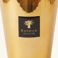 Les Exclusives Aurum Candle Max 24 baobab collection les exclusives aurum candle max 24