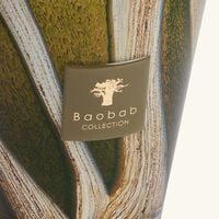 Woods Sherwood Candle Max 16 baobab collection woods sherwood candle max 16