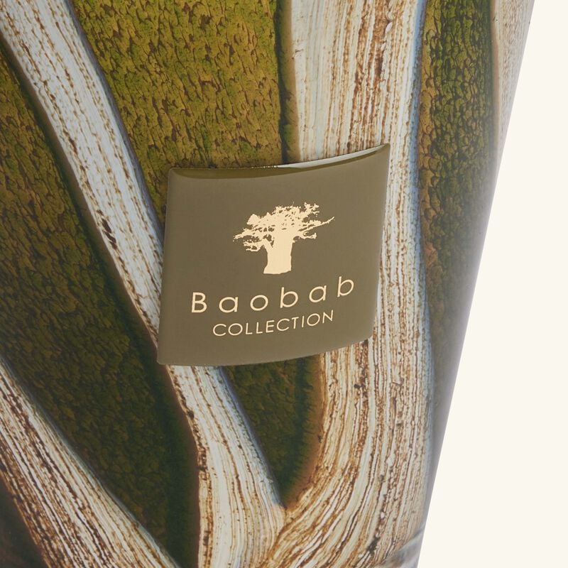 Woods Sherwood Candle Max 16 baobab collection woods sherwood candle max 16