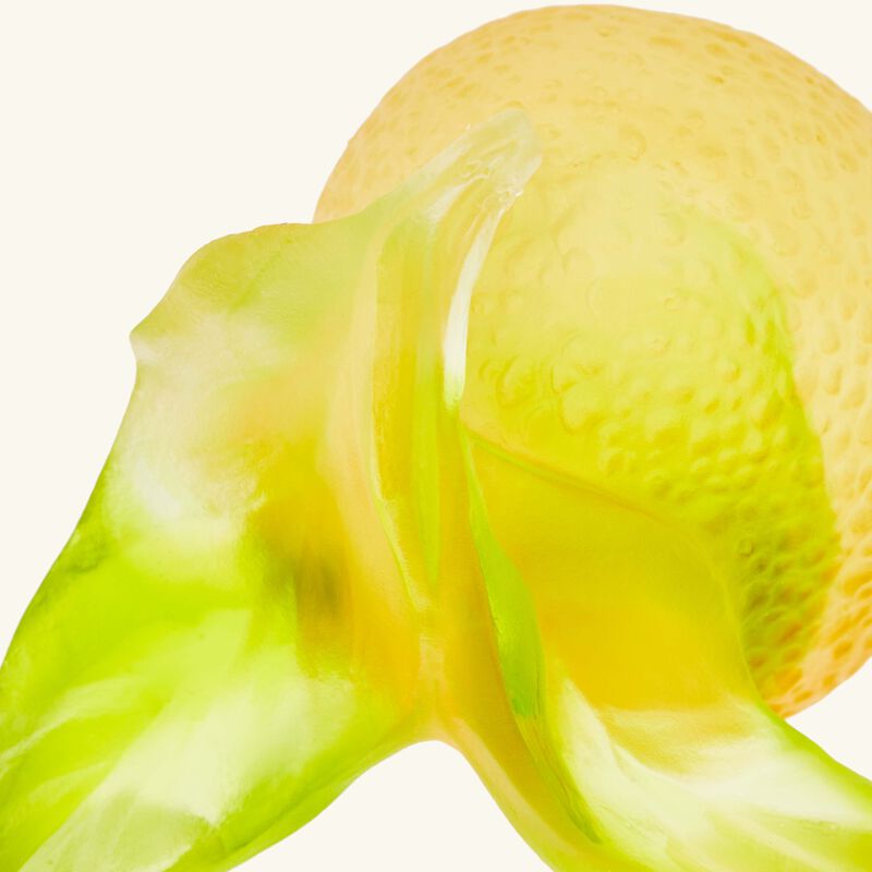 دوم منحوتة سيتروس ليمون صفراء اللون   بالحجم الصغير   إصدار محدود
