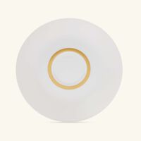 bernardaud cronos or tea cup   saucer white