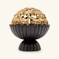 إيرا أودايبور مبخرة أشوا