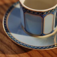 روزنتال فنجان القهوة سيغنوم فيرن مع صحنه أزرق